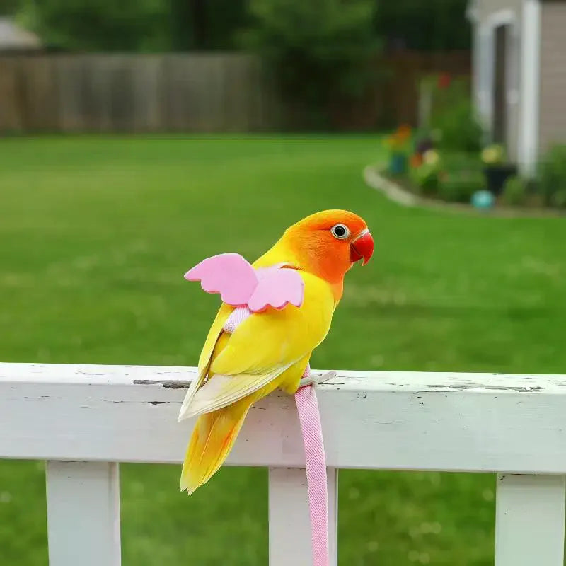 Parrot Flight Harness & Leash – Budgie, Cockatiel & Lovebird Bird Flight Harness SPOT