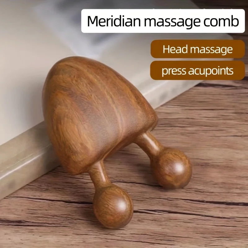 Sandalwood Face Massager – Snail Facial Meridian Tool Facial Massage Tool SPOT