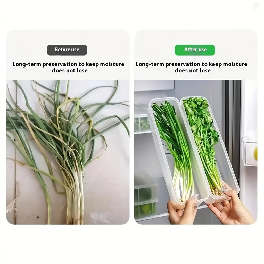 Rectangular Fridge Food Storage Containers for Herbs & Veggies Food Storage Containers SPOT