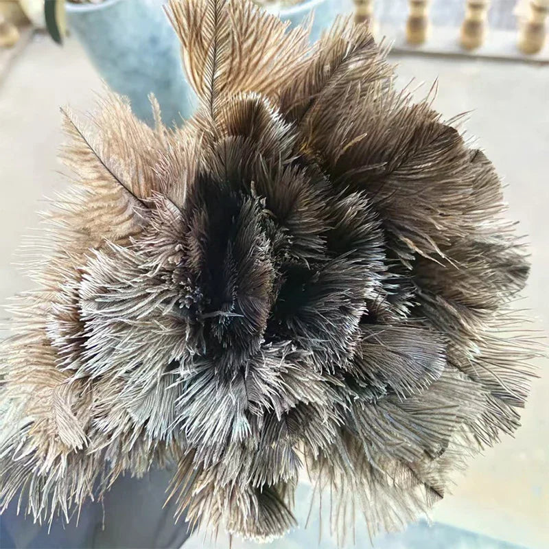 Ostrich Feather Duster – Anti-Static Wood Handle Duster Feather Duster SPOT
