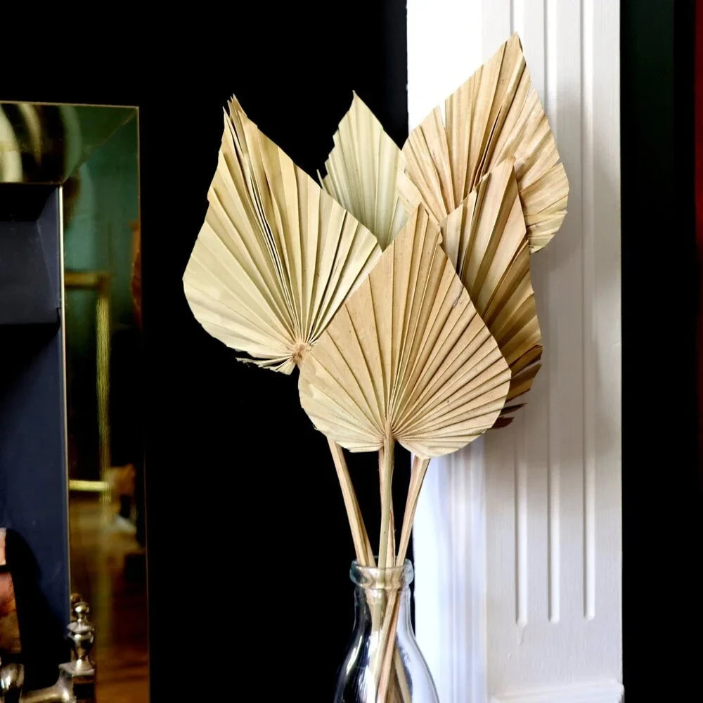 2-Pack Dried Palm Fan Leaves – DIY Wedding & Home Decor Dried Botanical Decor SPOT