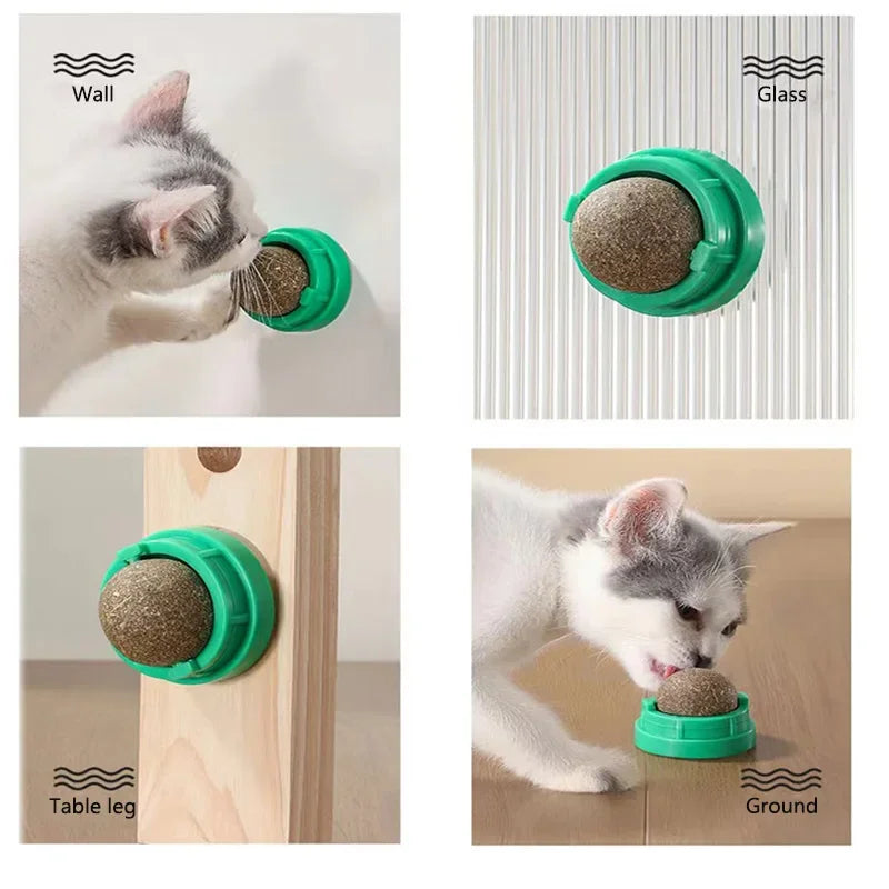 KEMORELA Catnip Wall Stick-On Ball Toy – Natural Cat Grass Treat Cat Catnip Toy SPOT