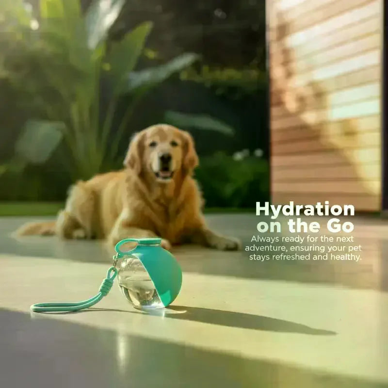 Portable 2-in-1 Pet Water Bottle & Foldable Bowl 285ml Pet Travel Water Bottle SPOT