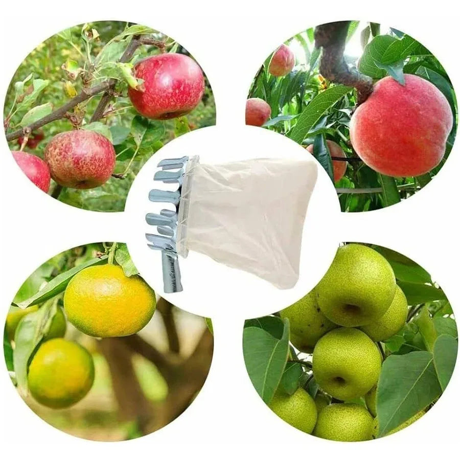 Fruit Picker Basket – High Branch Apple Pear Citrus Harvester Fruit Picker Tool SPOT