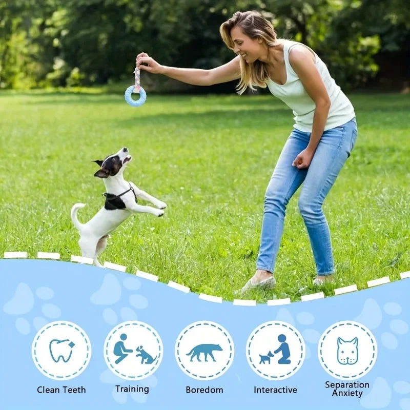 3-Pack Puppy Teething Chew Toys – Soft Rubber Bones for Small Dogs Dog Chew Toys SPOT