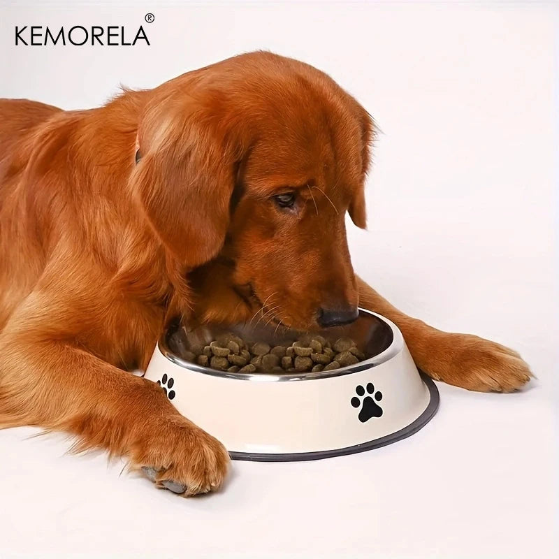 Stainless Steel Pet Bowl & Food Storage for Dogs & Cats Pet Food Bowl SPOT