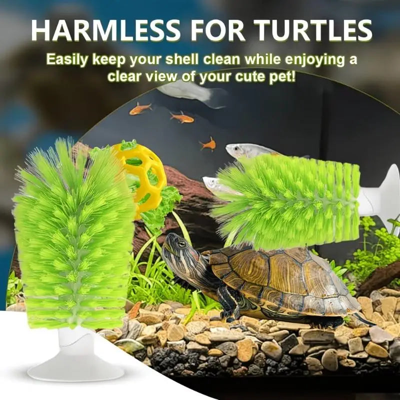 Turtle Shell Scrubber Brush & Feeding Ball – Suction Cup Reptile Tank Accessory SPOT