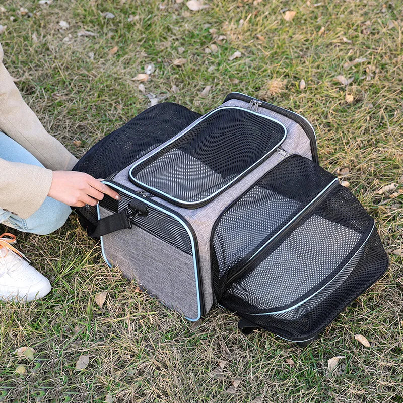 Breathable Foldable Pet Carrier Backpack – Cats & Small Dogs Pet Carrier Backpack SPOT