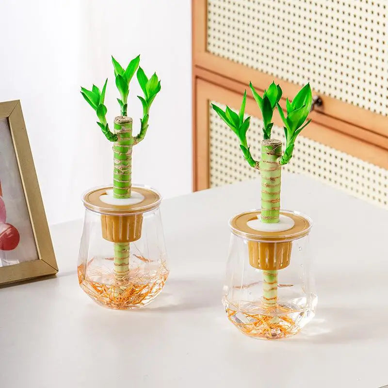 Mini Self-Watering Planter Pot – Transparent Fish Tank Vase Self-Watering Planter SPOT