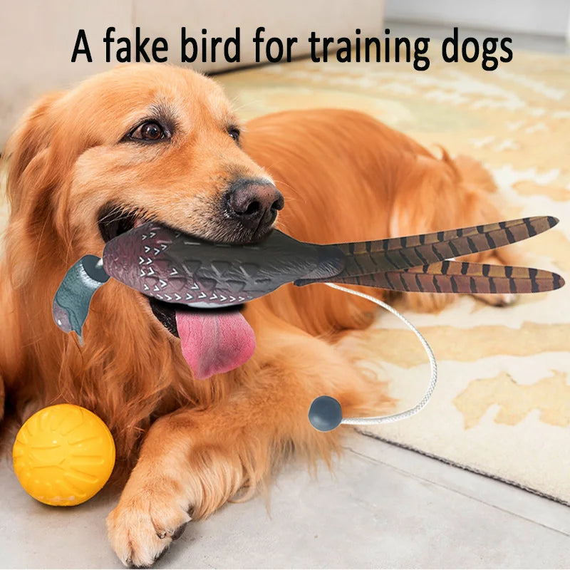 Realistic Duck Dummy Dog Training Toy – Floats on Water Dog Training Toy SPOT