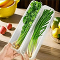 Rectangular Fridge Food Storage Containers for Herbs & Veggies Food Storage Containers SPOT 2pcs