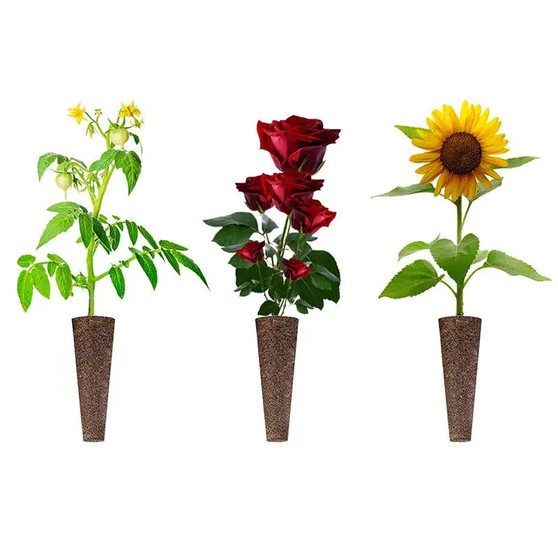 50-Pack Hydroponic Seed Sponge Pod Plugs – Seedling Starter Kit Hydroponic Seed Sponges SPOT