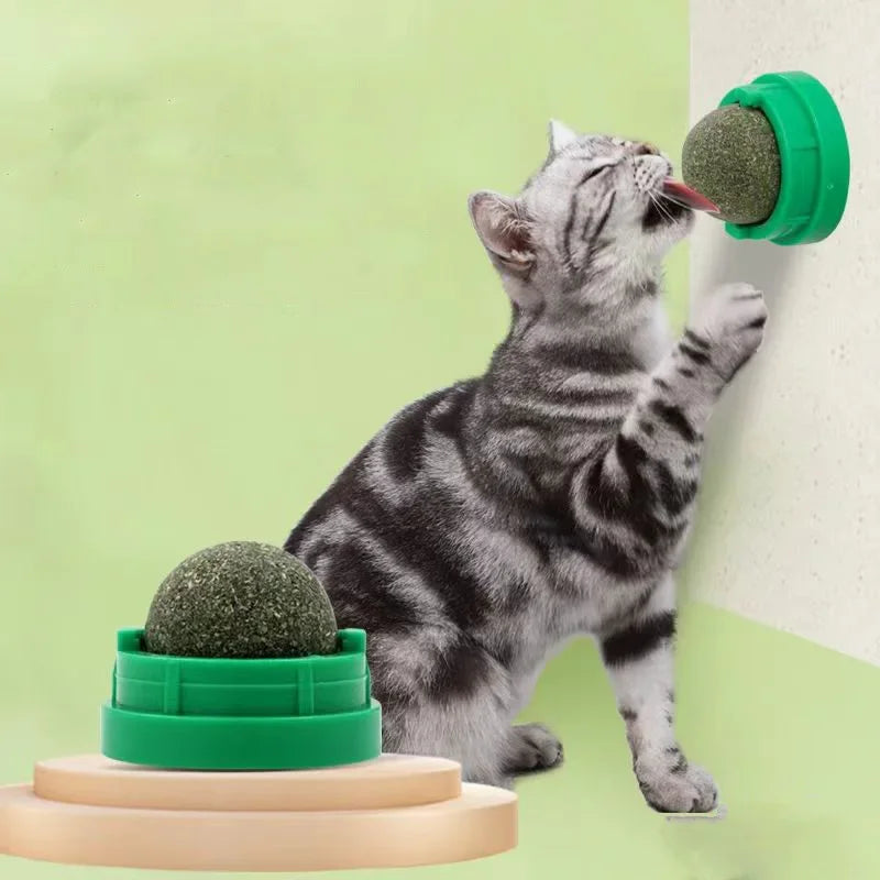 KEMORELA Catnip Wall Stick-On Ball Toy – Natural Cat Grass Treat Cat Catnip Toy SPOT