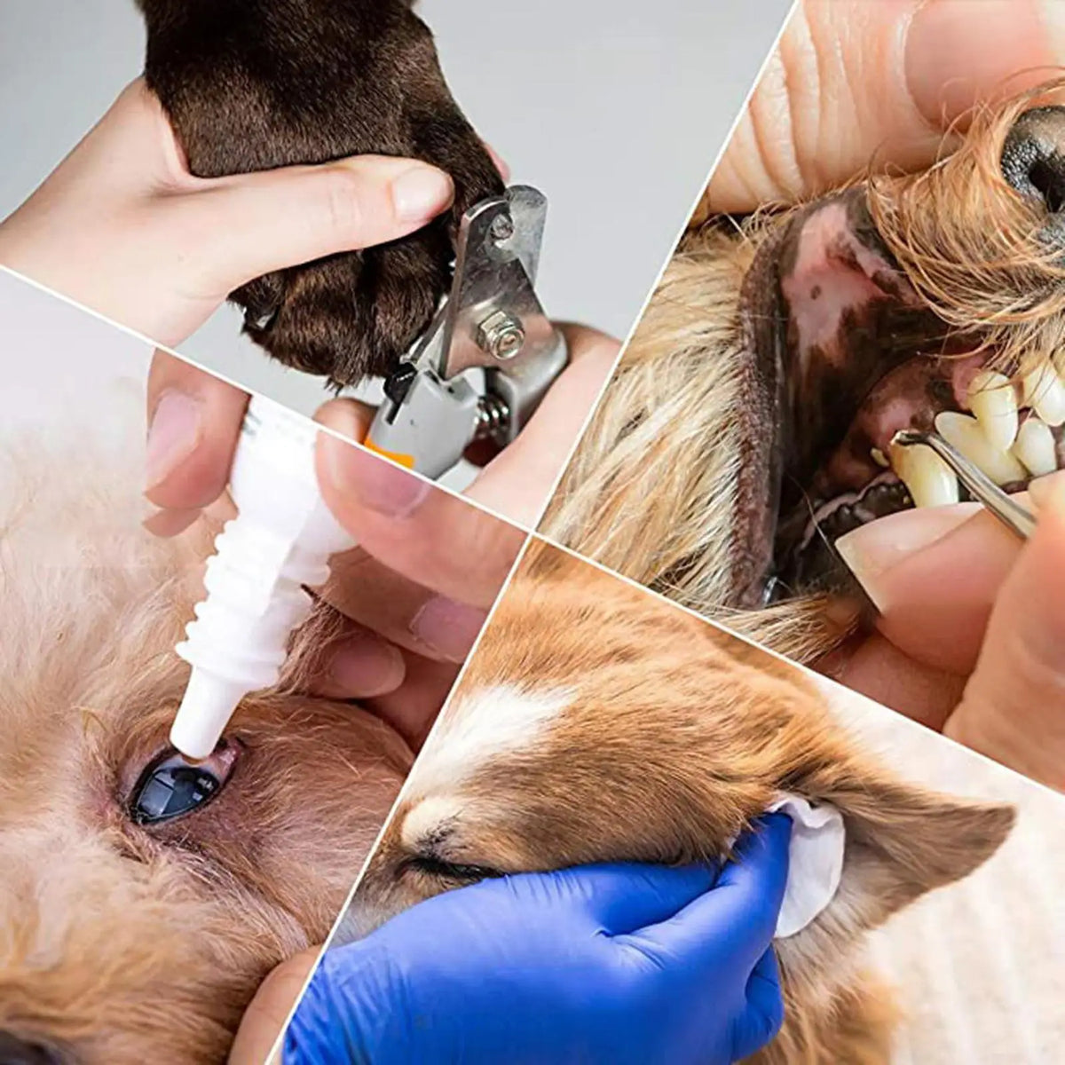 Pet Grooming Hammock Kit – Nail Clippers, Comb & Harness Pet Grooming Kit SPOT