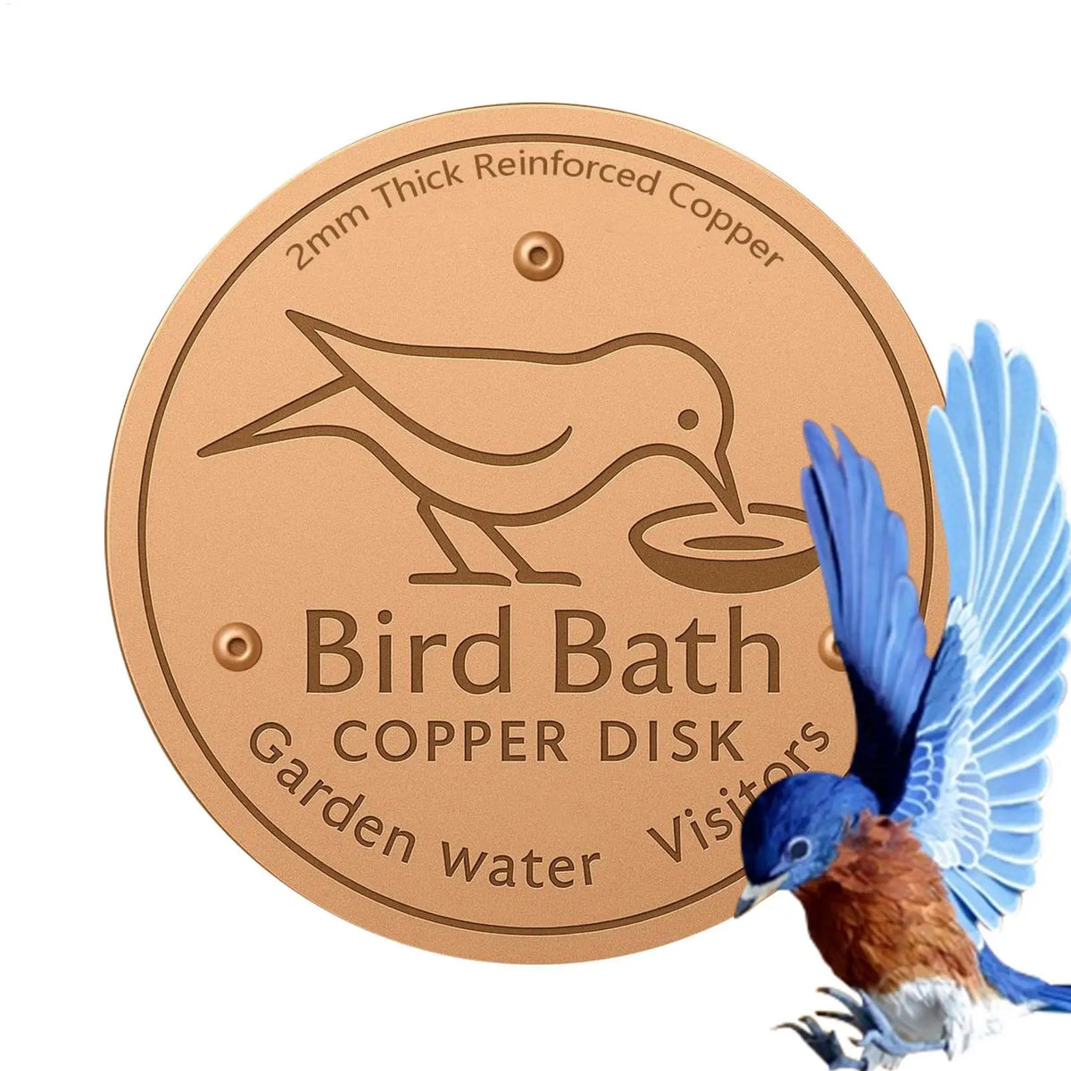 Copper Bird Bath Purifier Disk – Triple-Point Cleaner Tray Bird Bath Accessory SPOT