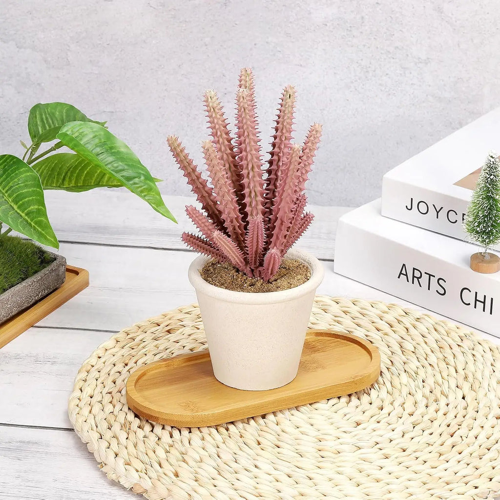4-Pack Oval Bamboo Plant Saucers – Drip Trays & Coasters Plant Saucer Tray SPOT