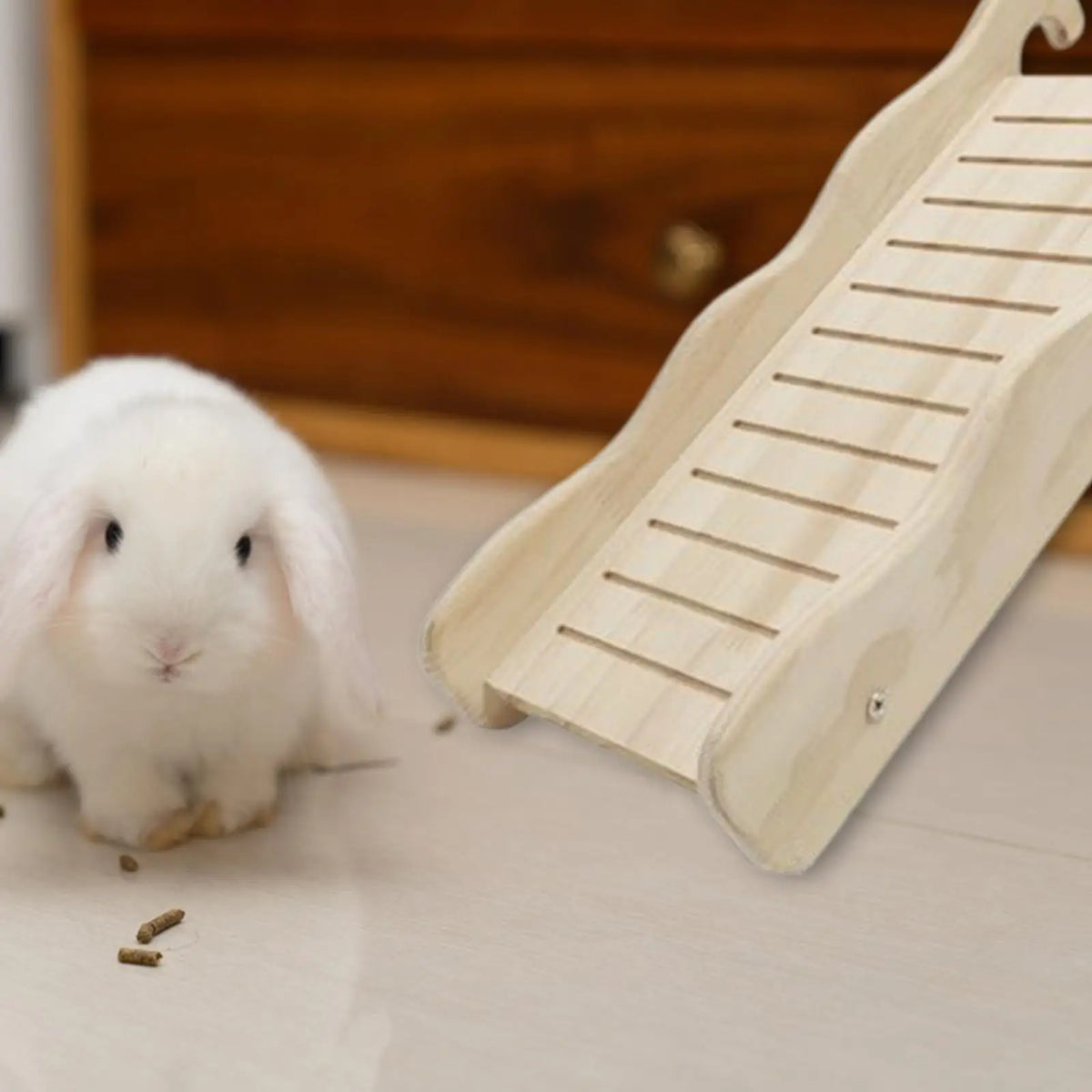 Wooden Climbing Ramp & Ladder for Rabbits & Small Pets Small Pet Climbing Toy SPOT