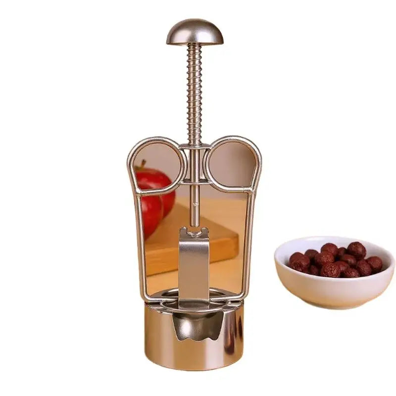 304 Stainless Steel Date Pitter & Fruit Core Remover Tool Fruit Pitter Tool SPOT