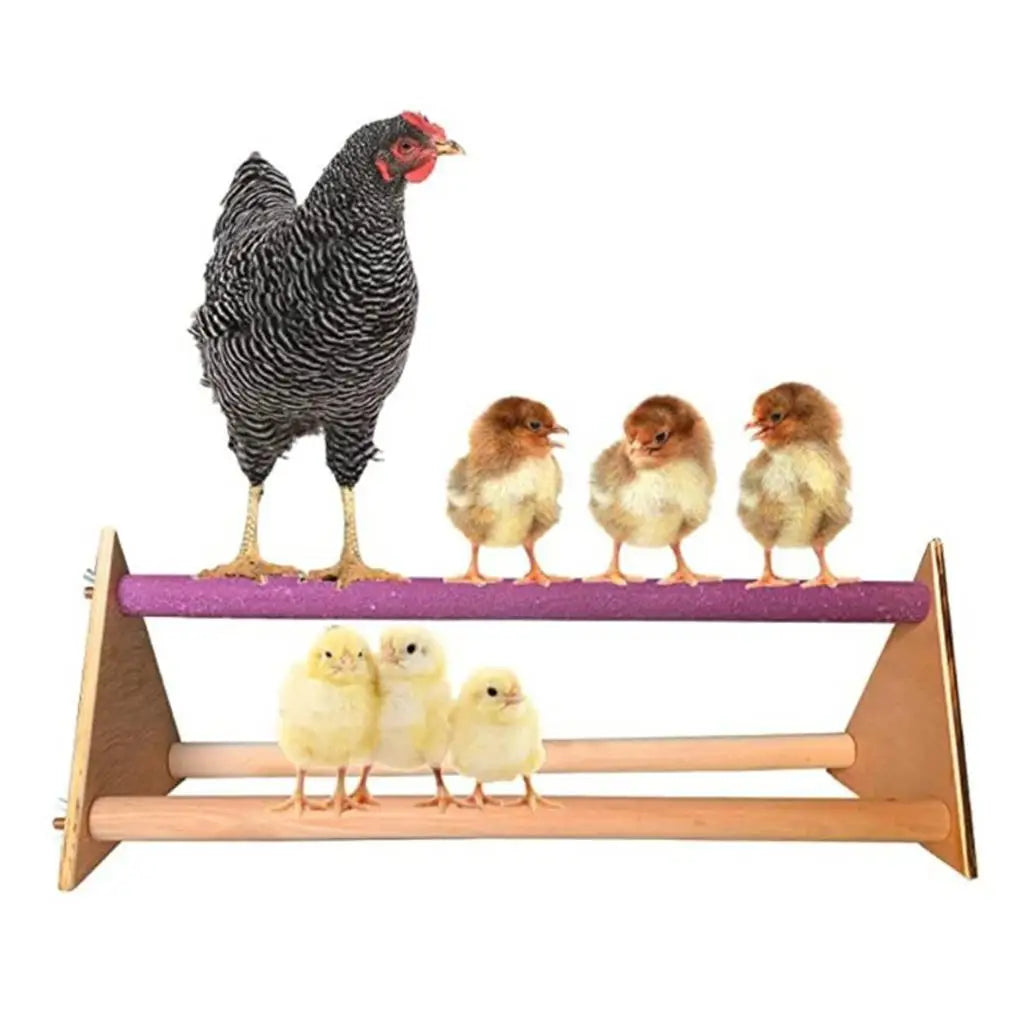 Wooden Parrot Perch Platform – Bird Climbing Exercise Stand Bird Perch Stand SPOT