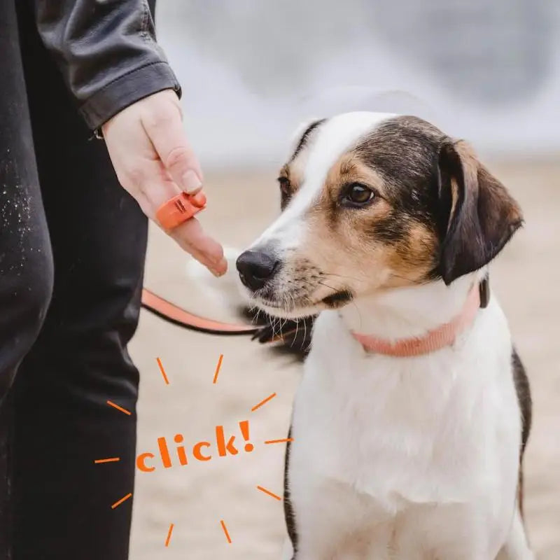 Pet Finger Clicker Ring – Dog Training Clicker, Stainless Steel Dog Training Clicker SPOT