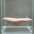 Mushroom Hammock Betta Fish Resting Pad – PLA Aquarium Decor Aquarium Decor SPOT A1