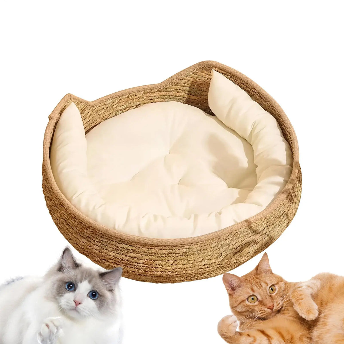 Woven Cat Bed Basket with Removable Cushion – All Seasons Pet Bed Basket SPOT