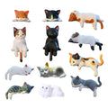 12-Piece Mini Sleeping Cat Figurines – Cute Kitten Decor Set Cat Figurine Set SPOT a