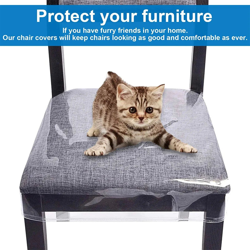 Transparent PVC Dining Chair Seat Cover – Waterproof Protector Chair Seat Cover SPOT