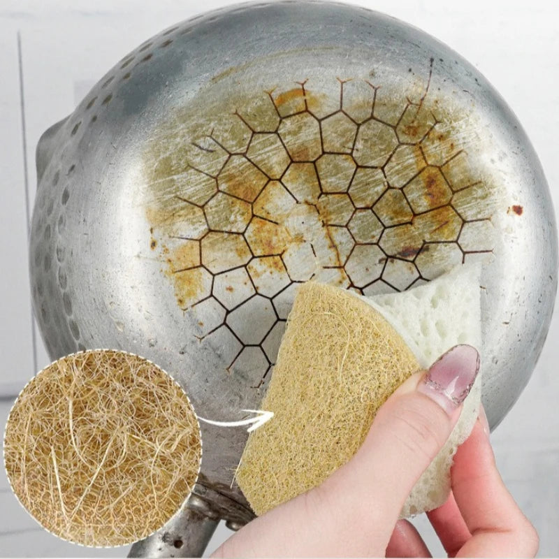 5-Pack Agave Seaweed Sponge – High-Foam Kitchen Scrubber Kitchen Cleaning Sponge SPOT
