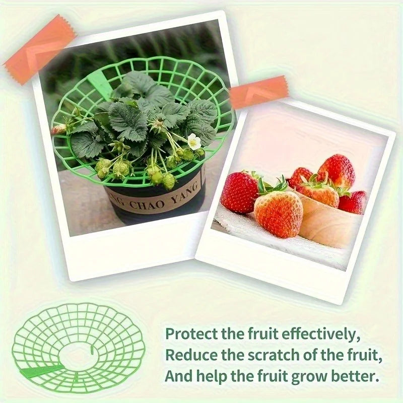 Green PVC Strawberry Support Cage 3-Legged Plant Protector 6/12pk Plant Support Cage SPOT
