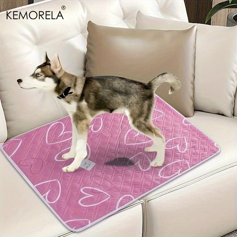 2-Pack Extra Large Reusable Pet Pee Mats – Non-Slip Washable Reusable Pet Mat SPOT