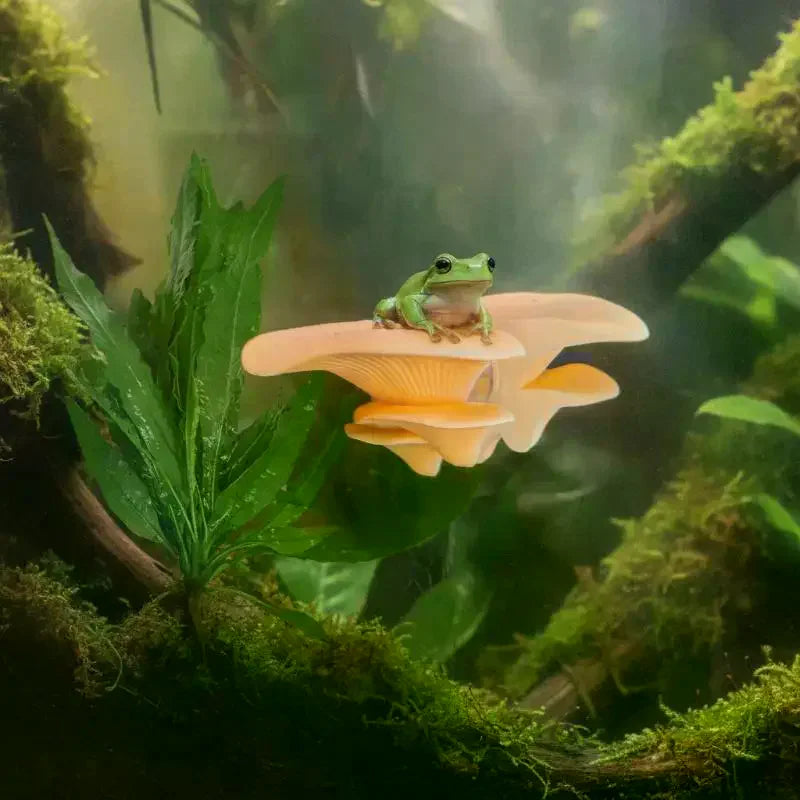 Mushroom Hammock Betta Fish Resting Pad – PLA Aquarium Decor Aquarium Decor SPOT