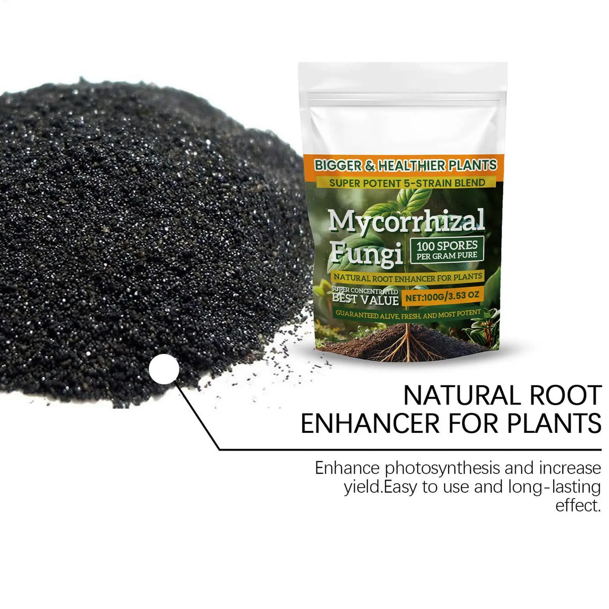 100g Humic Acid Root Booster Powder – Plant Growth Fertilizer Plant Growth Fertilizer SPOT