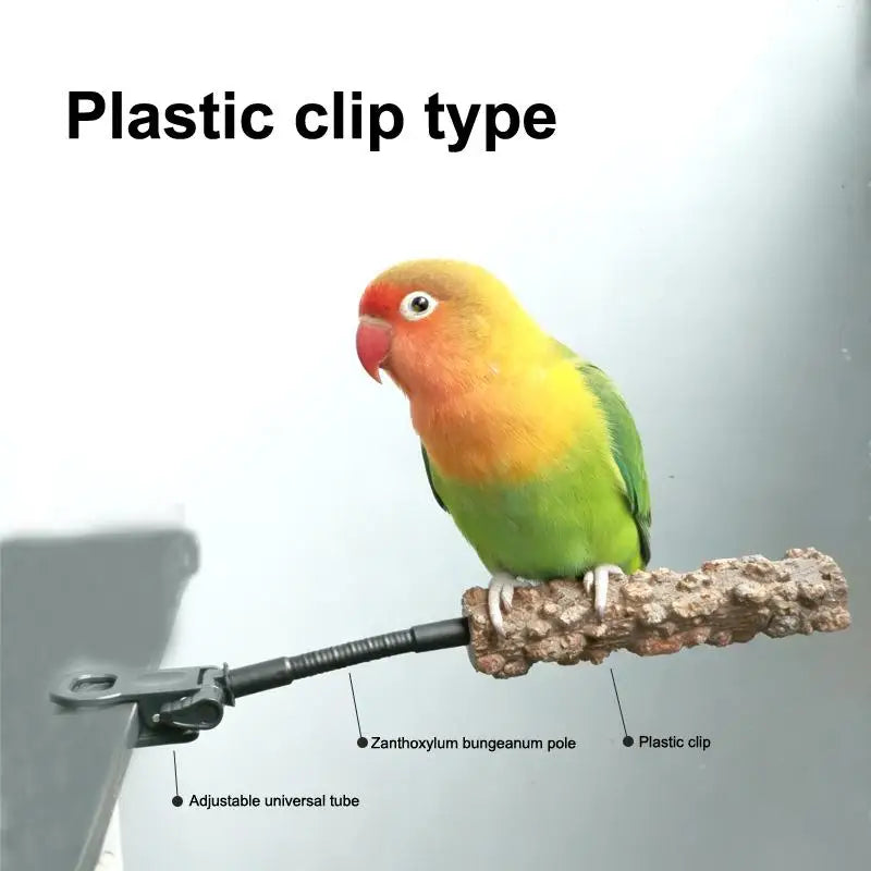 Clip-On Wooden Parrot Perch – Bird Potty Training Stand Bird Training Perch SPOT