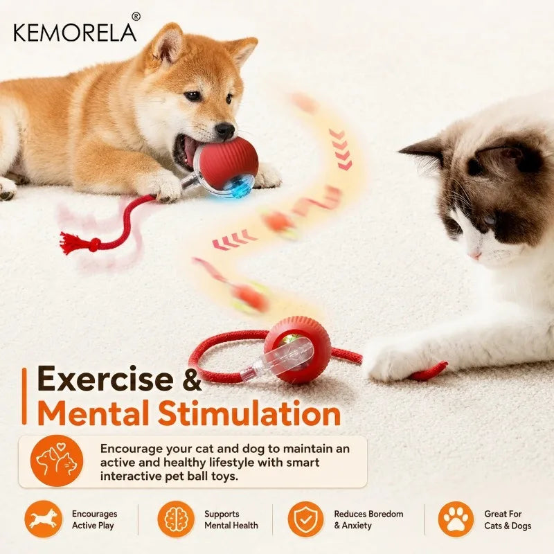 KEMORELA Automatic Rolling Ball Toy for Dogs & Cats Interactive Dog Toy SPOT