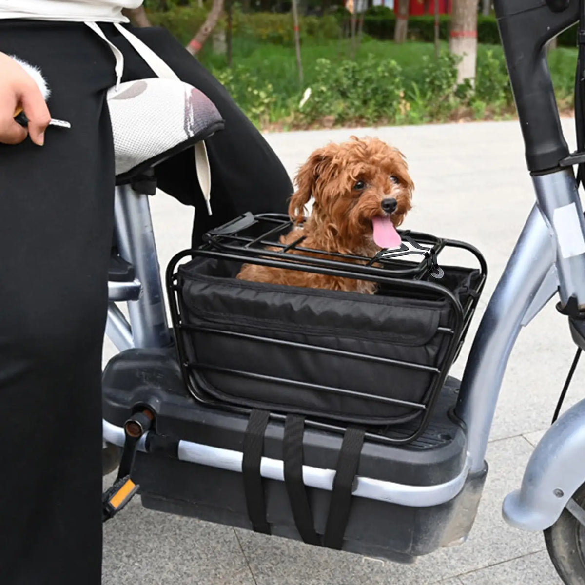 Heavy-Duty Bike Rear Basket – Pet Carrier & Cargo Organizer Bike Rear Basket SPOT