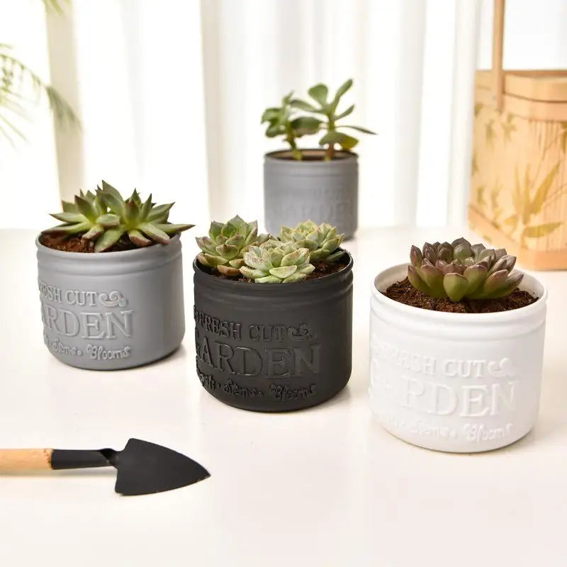 Mini Round Succulent Planter Pot – Desktop & Balcony Decor Succulent Planter Pot SPOT
