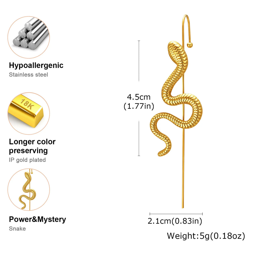Snake Ear Crawler Hook Earring – Stainless Steel, Gold & Silver Crawler Hook Earring SPOT