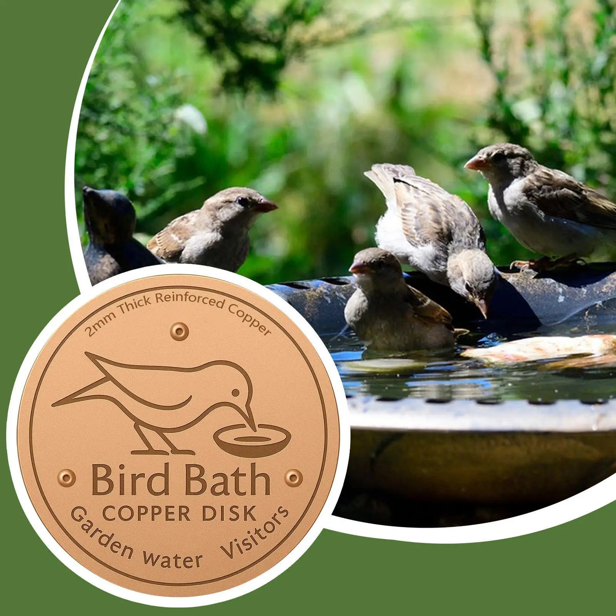 Copper Bird Bath Purifier Disk – Triple-Point Cleaner Tray Bird Bath Accessory SPOT