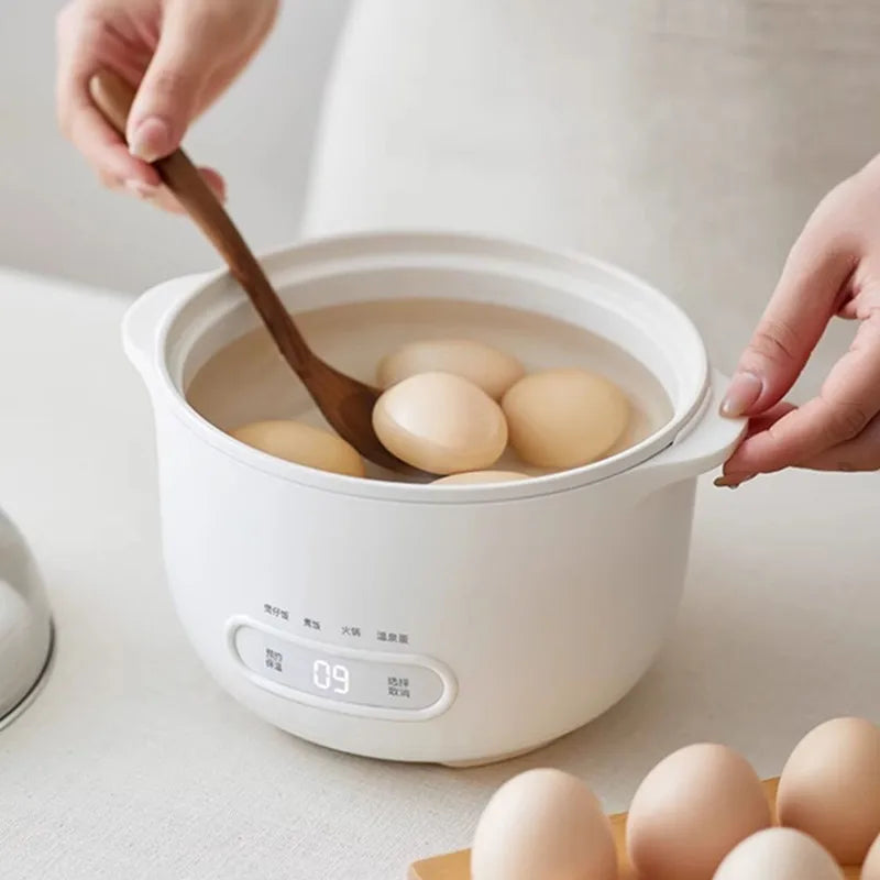 DUTRIEUX 1L Mini Rice Cooker – Stainless Steel 500W Mini Rice Cooker SPOT