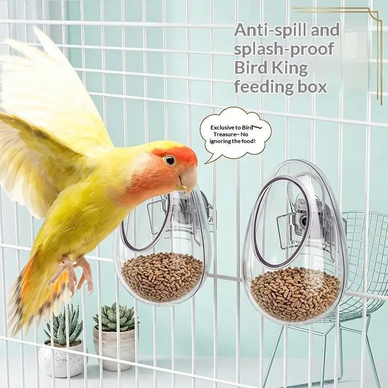 Anti-Splash Bird Feeder – Clear Wall-Hanging Cage Feeder Bird Cage Feeder SPOT