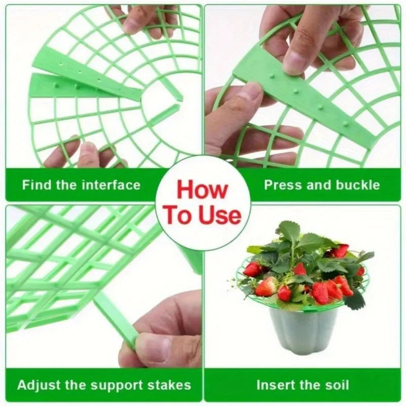 Strawberry Plant Support Stands – Anti-Rot Fruit Holder 6/12 Pack Plant Support Stand SPOT