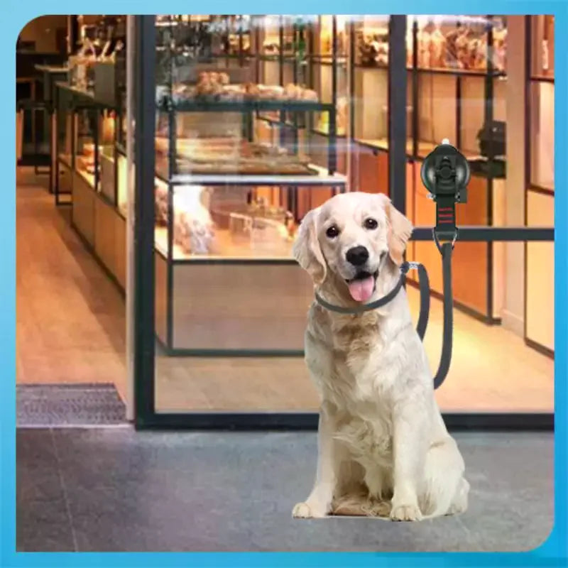 Pet Grooming Restraint Loop – Suction Cup Bathing Leash Pet Grooming Restraint SPOT