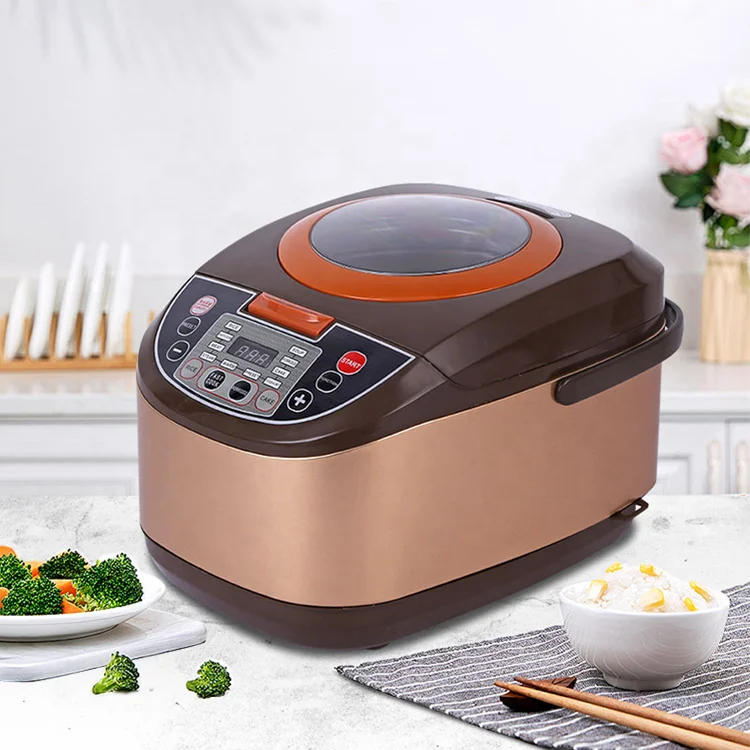 DUTRIEUX 5L Multifunctional Rice Cooker with Timer & Warmer Electric Rice Cooker SPOT