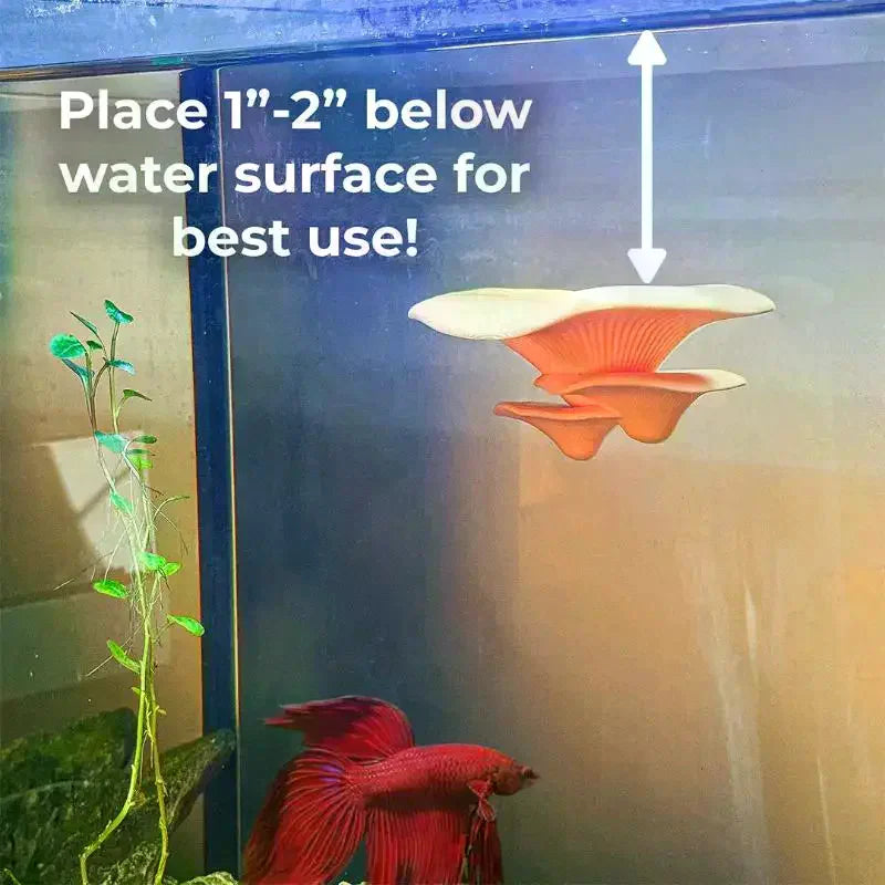 Mushroom Hammock Betta Fish Resting Pad – PLA Aquarium Decor Aquarium Decor SPOT