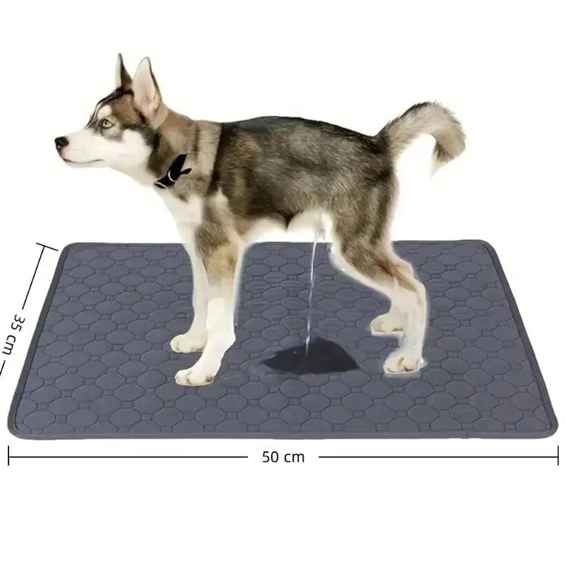 Washable Reusable Dog Training Pad – Absorbent Pet Mat Pet Training Mat SPOT B 35X50cm