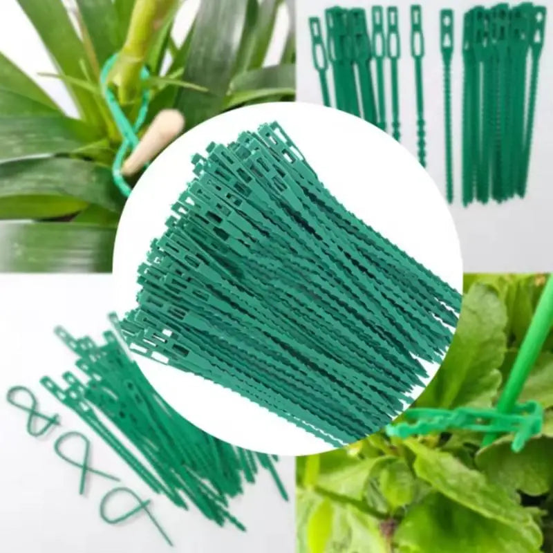 50-Pack Reusable Plant Climbing Clips – Adjustable Garden Ties Plant Support Clips SPOT