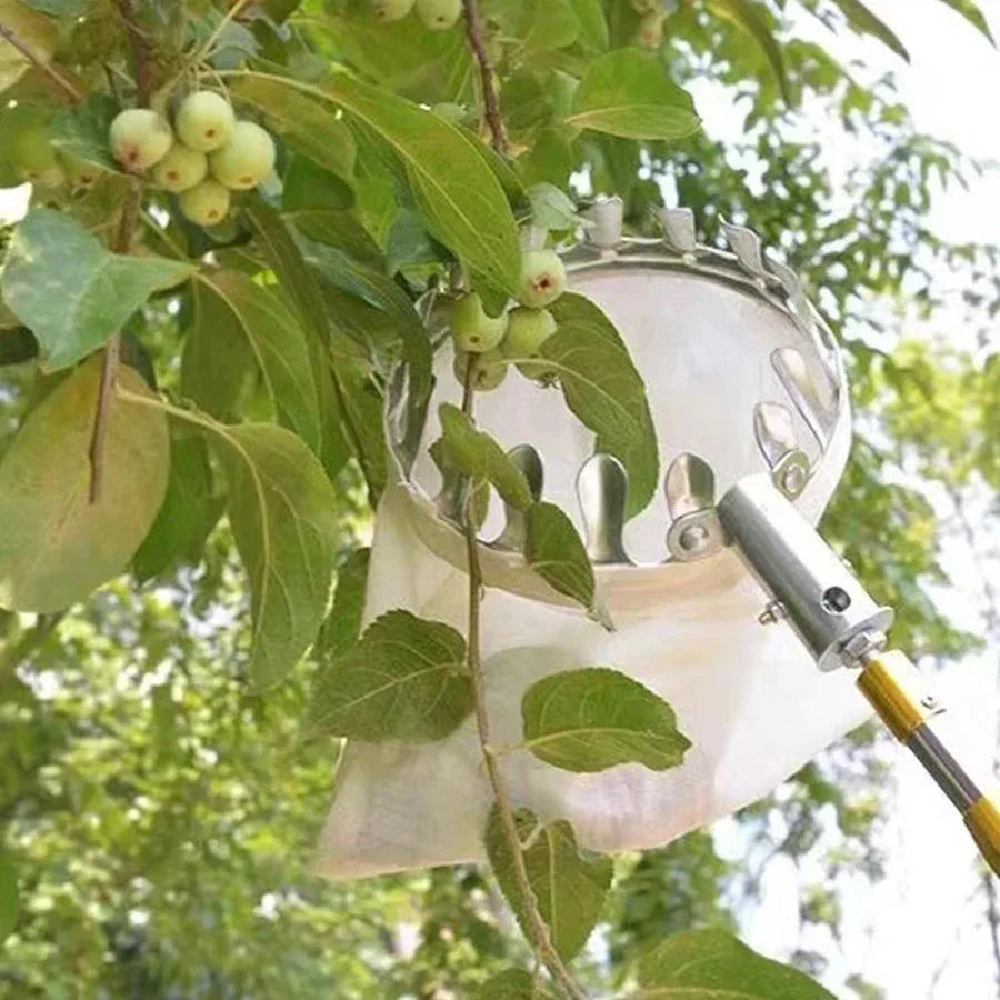 Adjustable Fruit Picker Kit – Berry, Cherry & Citrus Collector Fruit Picking Tool SPOT