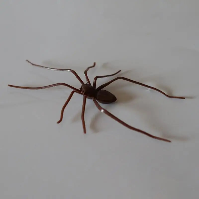 Glow-in-the-Dark Spider Fridge Magnet – Halloween Prank Decor Halloween Fridge Magnet SPOT A2