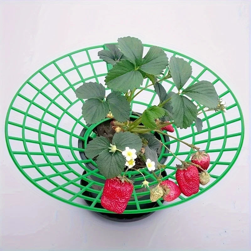 Green PVC Strawberry Support Cage 3-Legged Plant Protector 6/12pk Plant Support Cage SPOT